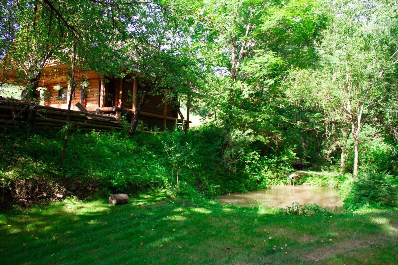 Тихий Куточок Villa Izki Exterior foto