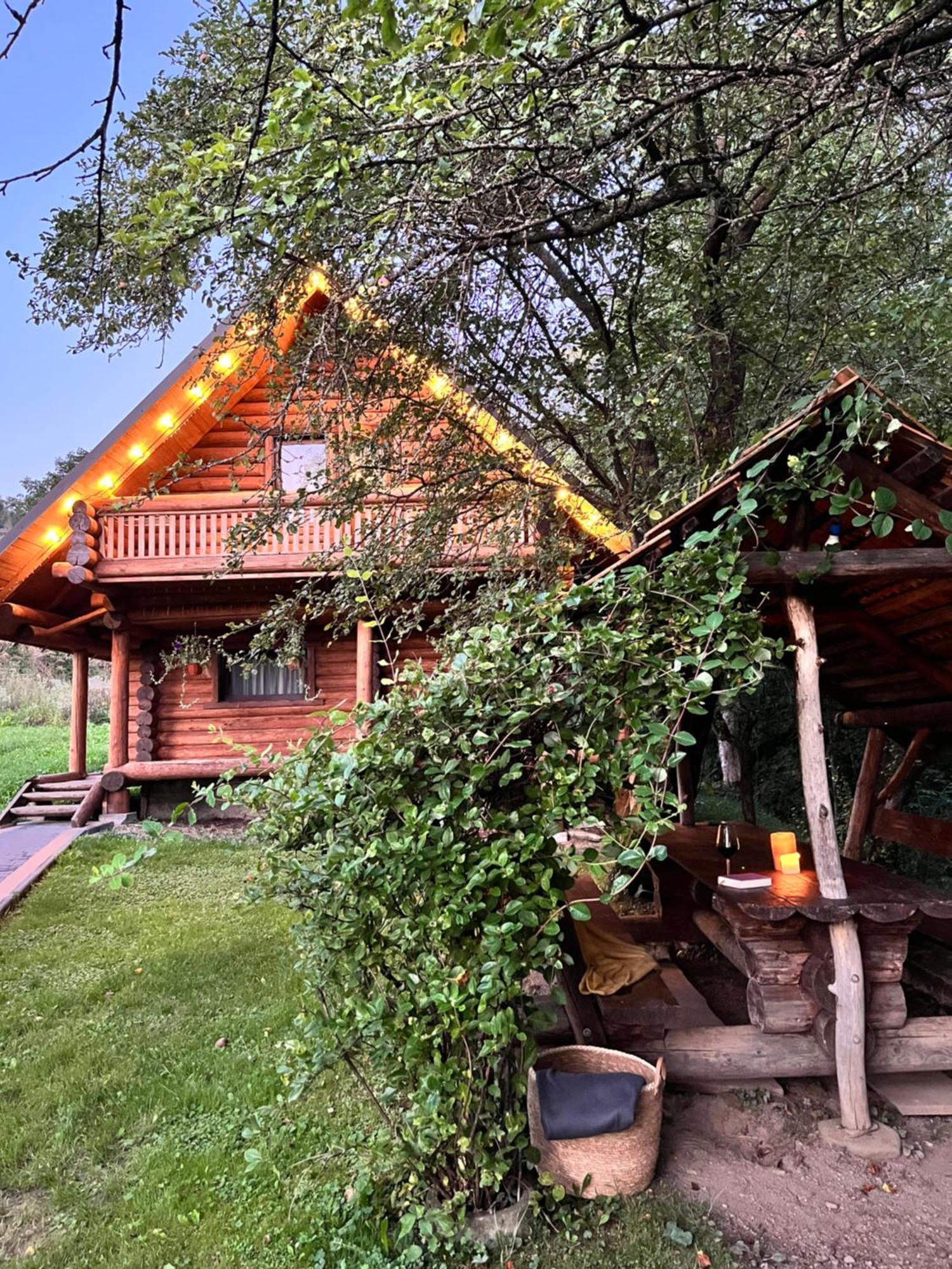 Тихий Куточок Villa Izki Exterior foto