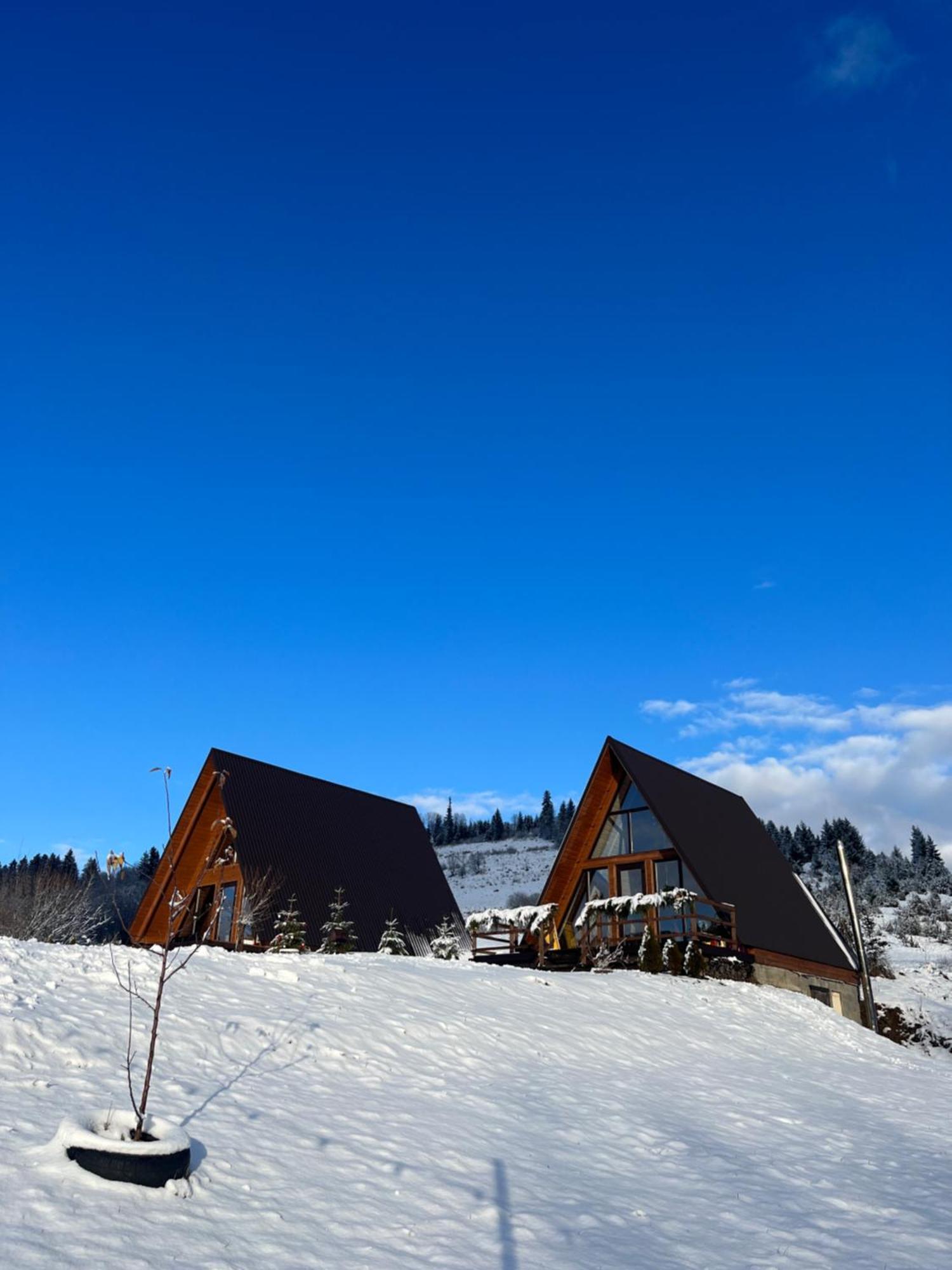 Тихий Куточок Villa Izki Exterior foto